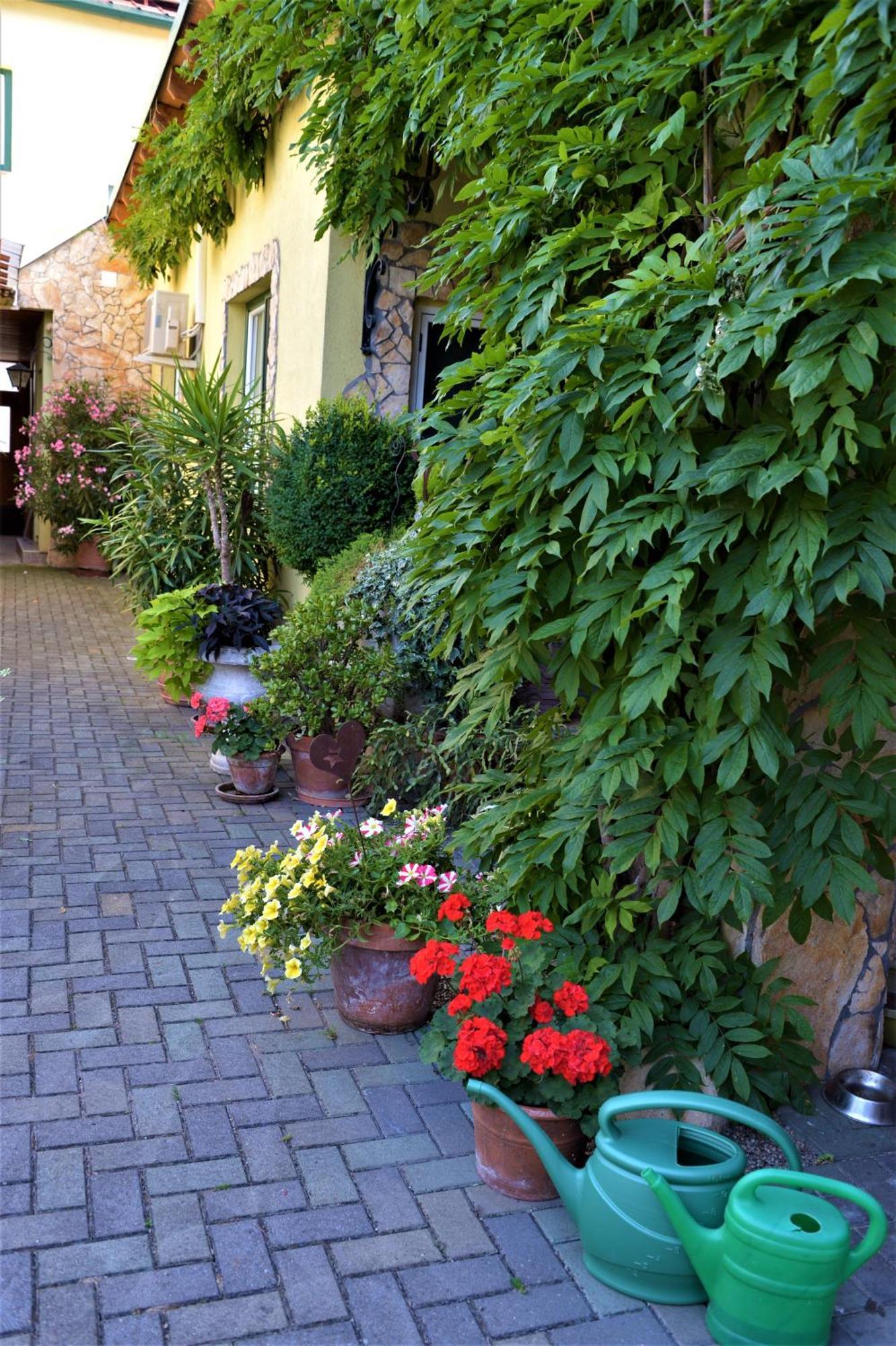 Ferienwohnung Koppi Pamhagen Esterno foto