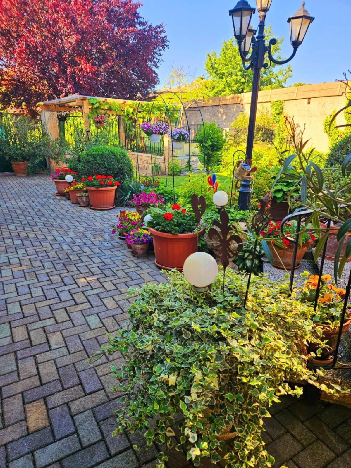 Ferienwohnung Koppi Pamhagen Esterno foto