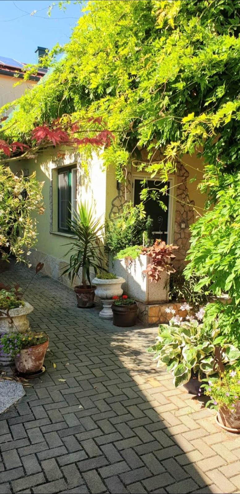 Ferienwohnung Koppi Pamhagen Esterno foto