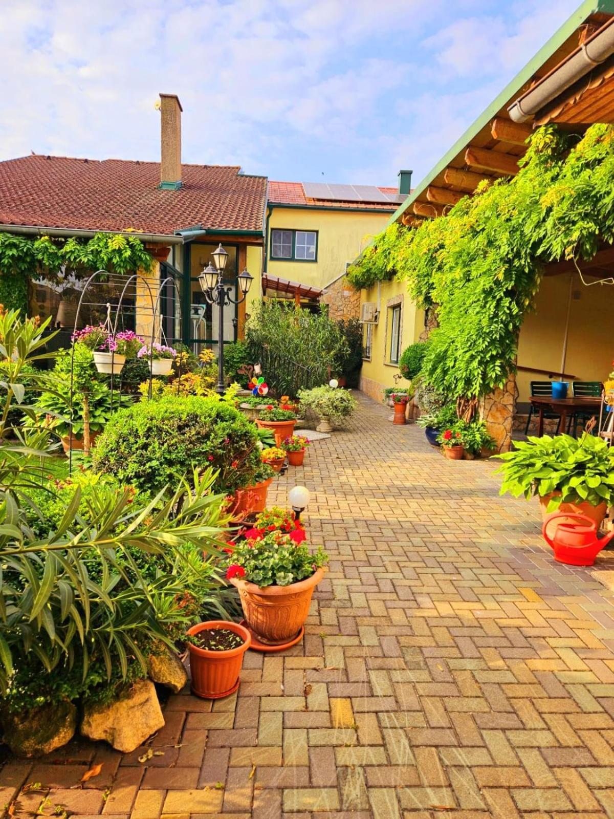 Ferienwohnung Koppi Pamhagen Esterno foto