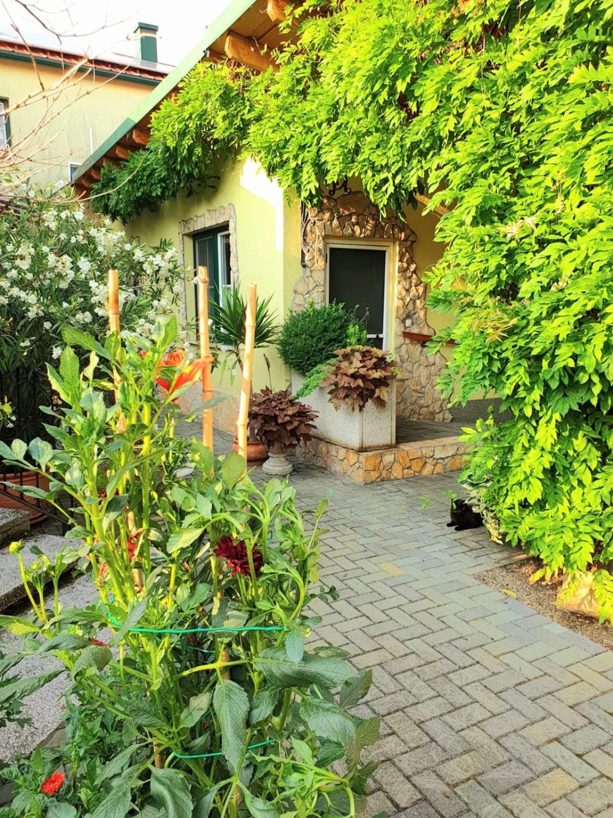 Ferienwohnung Koppi Pamhagen Esterno foto