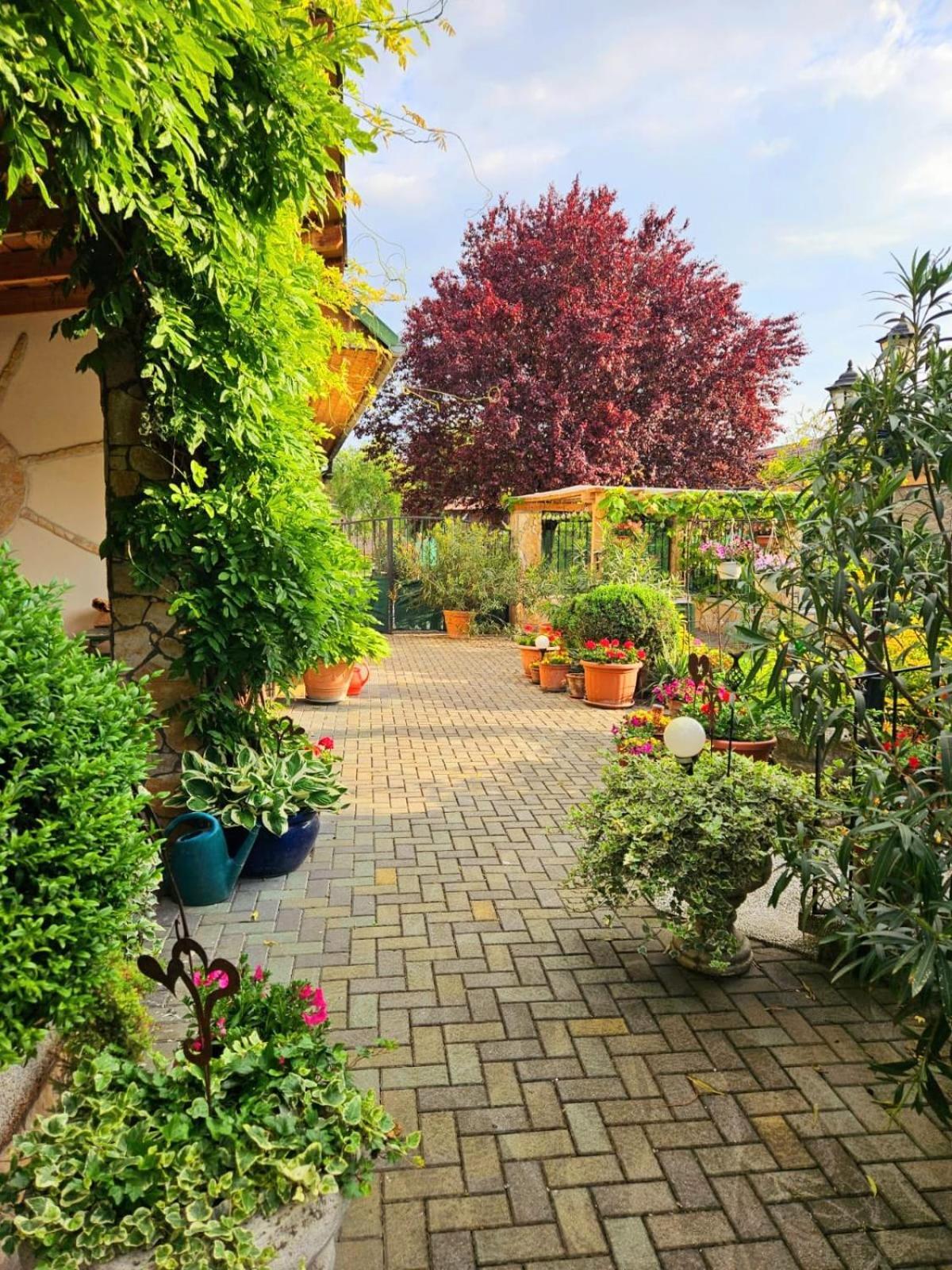 Ferienwohnung Koppi Pamhagen Esterno foto